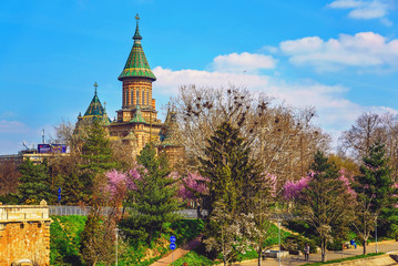 Spring in a park