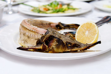 Baked sterlet fish on white plate