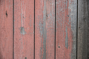 Old wood background. Wood texture