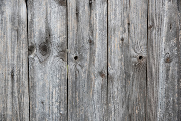 Old wood background. Wood texture
