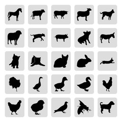 Farm animals 25 simple icons set