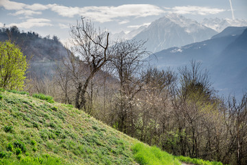 Paesaggio montano, panorama di montagna, primavera, cielo blu e prato
