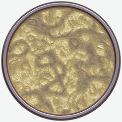 Shield generated texture