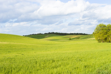 Landschaft in der Uckermark