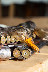 Gun, hunting, a dead duck, and ammunition  - 106428641