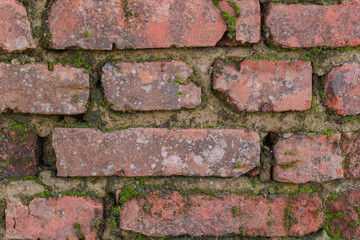 Old mossy brick wall