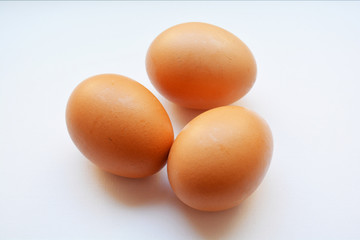 chicken eggs