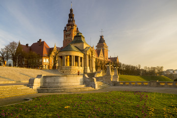 Wały Chrobrego ,kwitnące krokusy,Szczecin