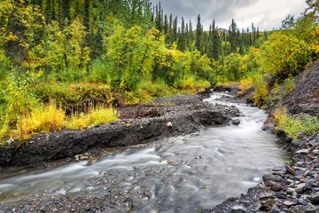 Photo sur Plexiglas Denali A pristine mountain stream near the Denali highway in Alaska.