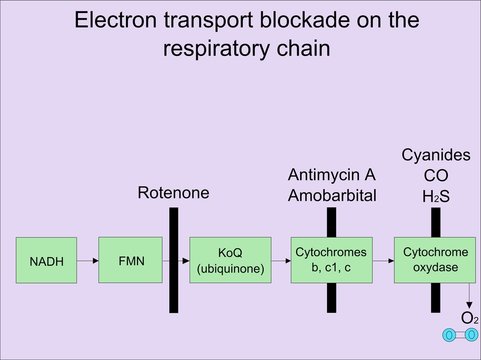 Electron transport blockade on the respiratory chain