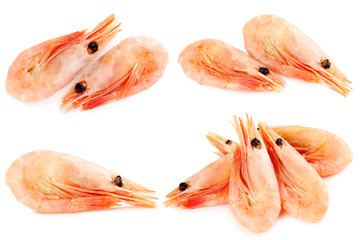 Fresh boiled shrimps isolated on a white, collage