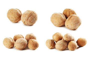 Walnut isolated on a white background, collage