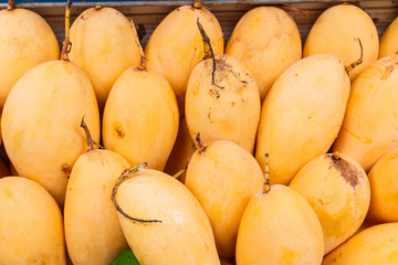 fresh mango on sale at market