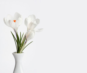 white flower bouquet