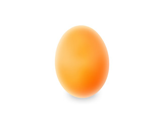 egg on a white background