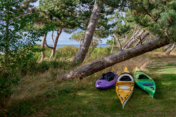 Sea kayaks ready to be used at the sea behind pine trees