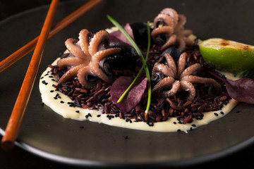 Delicious octopus with brown rice with sauce on a plate