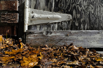 Garage Hing Over Autumn, Dry Leaves with Paint Peeling Door.