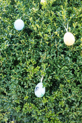 Osterschmuck