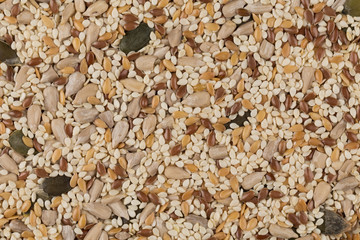 Healthy seeds mix
