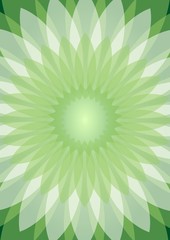Green abstract background with semitransparent white rosetta
