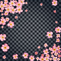 Abstract background with beautiful pink cherry blossom.