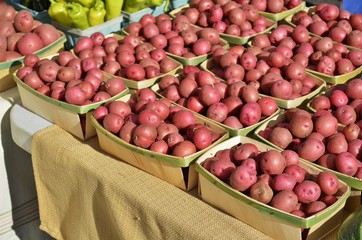 Fresh potatoes displayed and for sale at a local Farmers Market