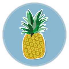 ananas flat vector illustration