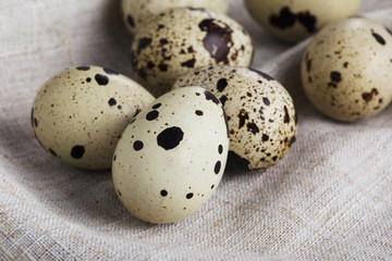 little quail eggs