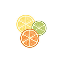 Fruit Icon. Fruit isolated background. Citrus isolated background. Vector illustration fruit. Fresh tropical fruit.