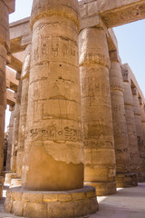 massive columns. Luxor, Egypt. old egypt hieroglyphs carved on t