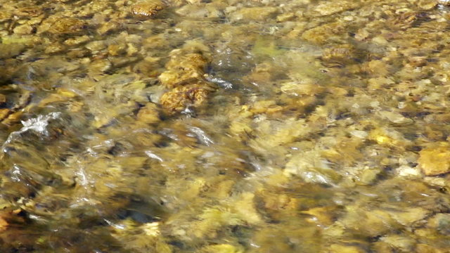 Mountains river under cloudy sky in autumn.  Muga, Catalan Pyrenees. Spain