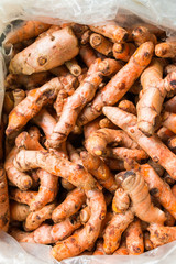 Fototapeta premium Turmeric, Curcuma at market