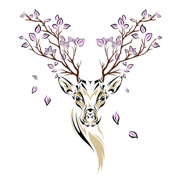 Ethnic colored head of deer with branches on the horns. totem / tattoo design. Use for print, posters, t-shirts. Vector illustration