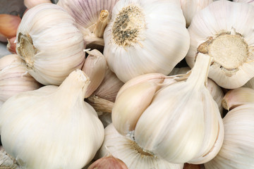 Garlic background