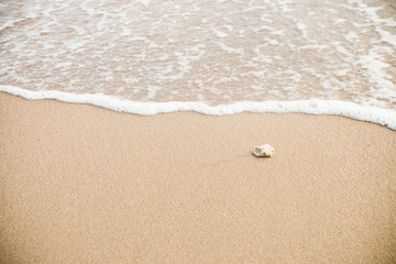 Sea water and sand background