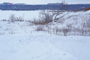Winter field
