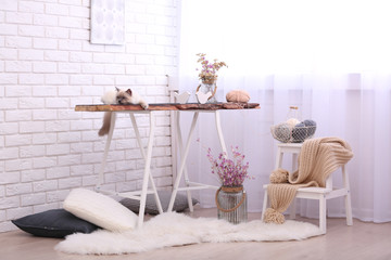 Color-point cat lying on wooden table in living room