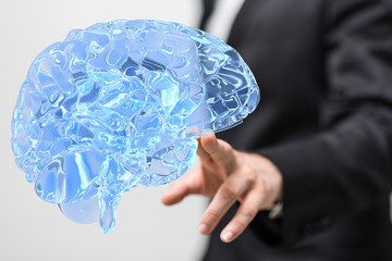 brain
