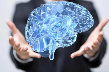 brain