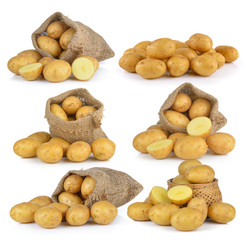  potato isolated on white background