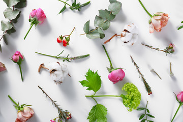 Flowers on white background