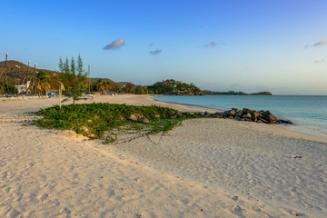 Tropical beach at Antigua island in Caribbean with white sand, t