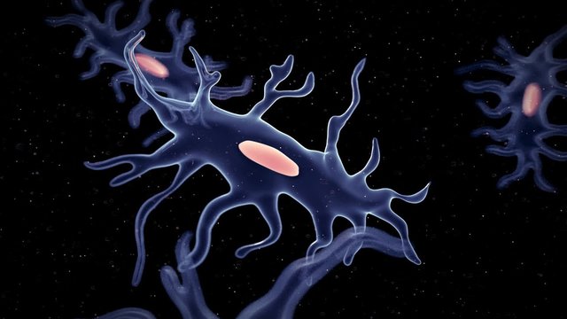 medical 3d animation of the osteocyte