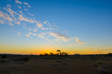Fototapeta na wymiar Australian remote bush outback at sunrise