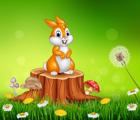 Cute bunny on tree stump grass background