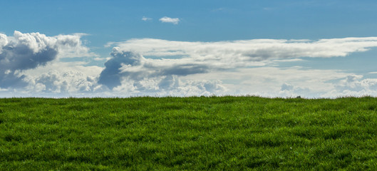 Green field with blue sky and clouds