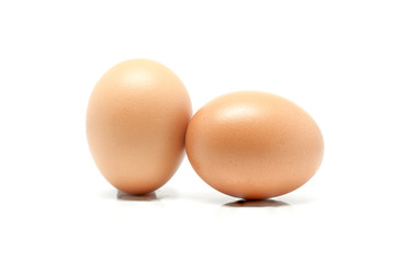 Eggs in white background