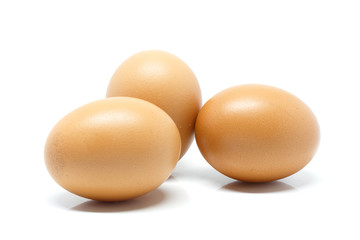 Eggs in white background