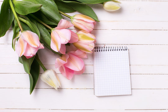 Pink  tulips and empty open notebook on white  painted wooden ba